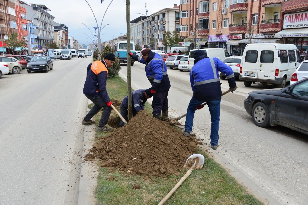 Park ve Bahçeler Müdürlüğümüz Tarafından Sürdürülen İlçemiz Genelindeki Bakım ve Peyzaj Çalışmaları Kapsamında Ağaç Dikimine Başlanmıştır.