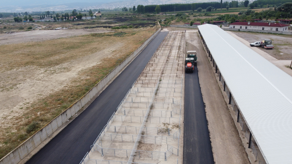 Hayvan Pazarı Kurban Bayramına Hazırlanıyor