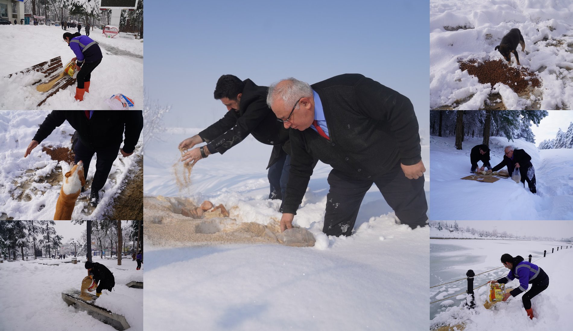 Belediyemiz Sokak Hayvanlarını Unutmadı.