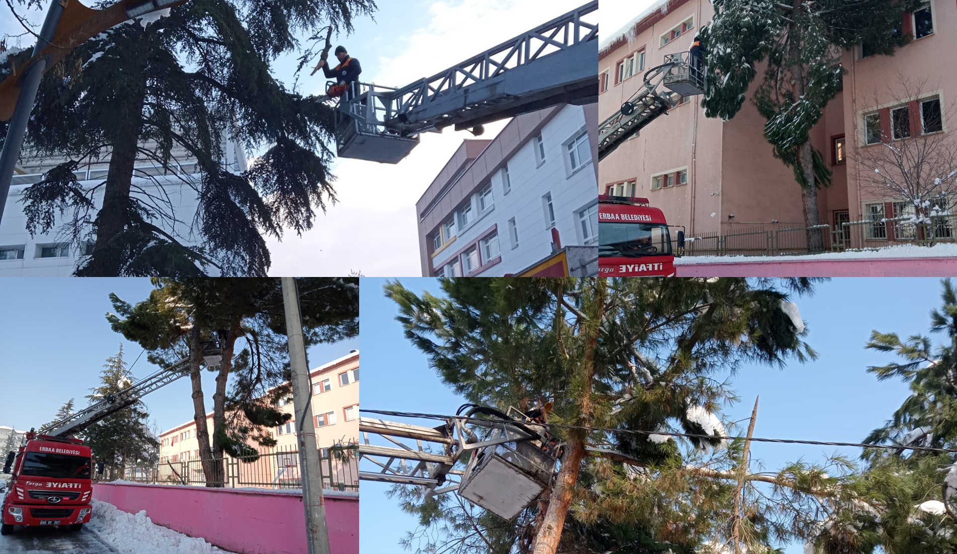 Belediye Ekiplerimiz Biriken Karlar Sonucu Tehlike Arz Eden Ağaçları Temizleme ve Zarar Gören Dalları Toplamak İçin Çalışmalarını Sürdürüyor.